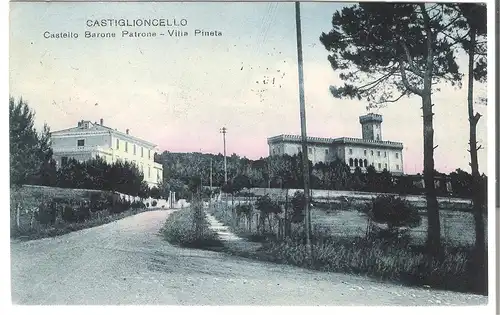 Castiglioncello - Castello Barone Patrone - Villa Pineta - von 1923 (AK4763)