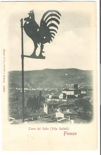 Torre del Gallo (Villa Galletti) - Firenze   - von 1902 (AK4772)