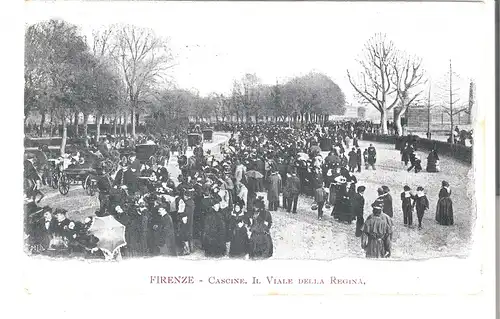 Firenze - Cascine. Il Viale della Regina - von 1904 (AK4780)
