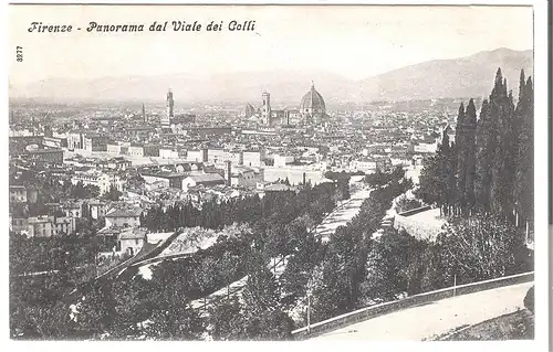 Firenze - Panorama dal Viale dei Colli - von 1930 (AK4811)