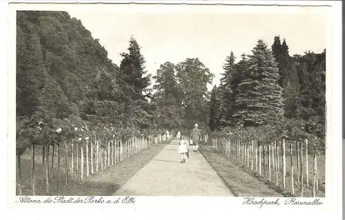 Altona die Stadt der Parks a.d. Elbe v.1930 (AK53367)