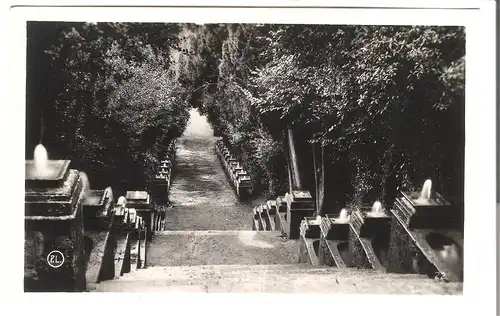 Tivoli - Villa d'Este - Scalinata dei Bolloni v.1955 (AK4878)