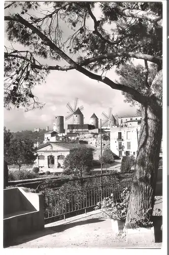 Mallorca - Palma v.1960 (AK4977)