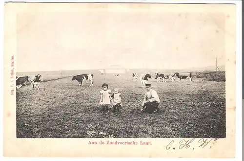 Aan de Zandvoortsche Laan  v.1904 (AK53548)
