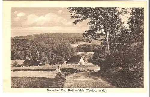 Nolle bei Bad Rothenfelde - Teutoburger Wald v.1927 (AK5023)
