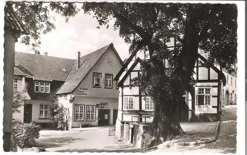 Tecklenburg - Marktlinde  v.1953 (AK5026)
