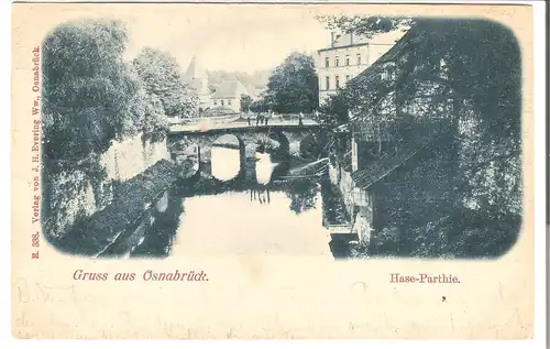 Osnabrück - Hase-Parthie v.1900 (AK5038)