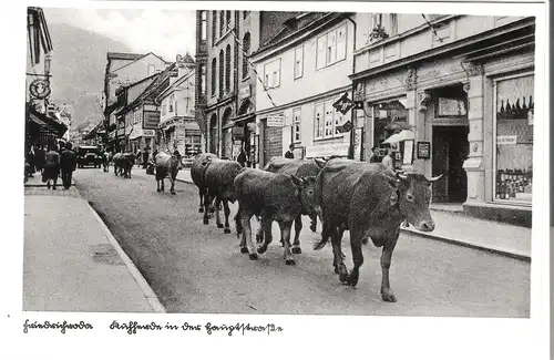 Friedrichroda - Kuhherde in der Hauptstraße v.1937  (AK5124-A)