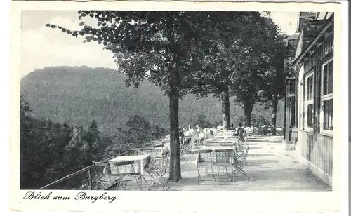 Waldgasthaus "Sennhütte" - Bad Harzburg - Blick zum Burgberg v.1954 (AK5134)