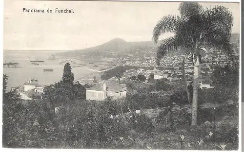 Panorama do Funchal - Insel Madeira v.1911 (AK5169)