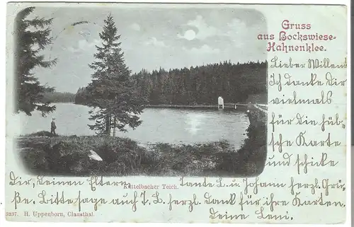 Bockswiese-Hahnenklee v. 1898 (AK5175)