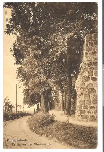 Angermünde - Partie an der Stadtmauer v. 1909 (AK45519)