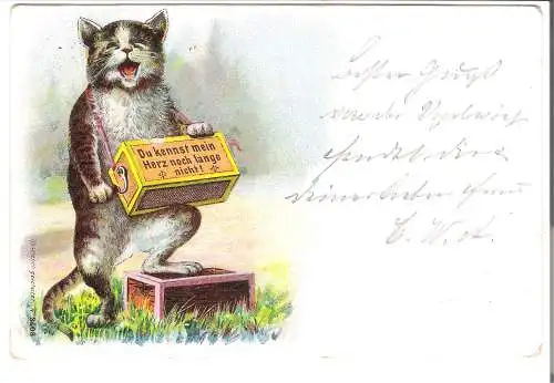 Katze mit Leierkasten - Du kennst mein Herz noch lange nicht!.  v. 1898 (AK45599-4)