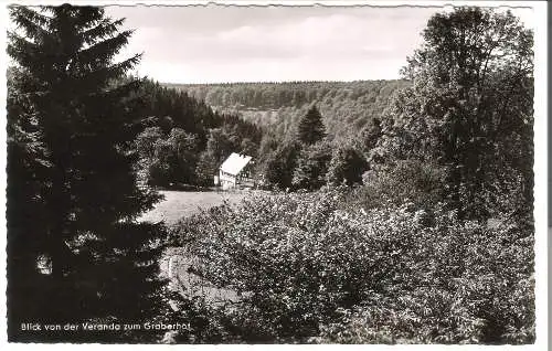 Hoheleye (Hochsauerland) - Blick von der Veranda zum Graberhof  v. 1950 (AK53612)