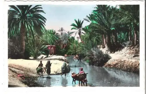 Marokko - Scenes et Types - Passage de l'Oued  v. 1952  (AK53625)
