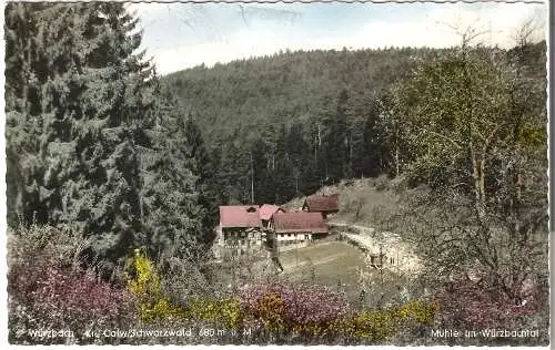 Würzbach - Kr. Calw-Schwarzwald - Mühle im Würzbachtal v. 1964 (AK53628)