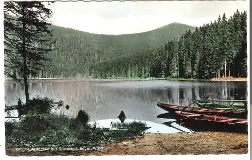 Großer Arbersee mit Seewand - Bayer.Wald v. 1962 (AK53635)