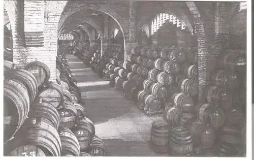Casa Codorniu, San Sadurni de Noya, Una bodega (No.5) v. 1960 (AK53638)