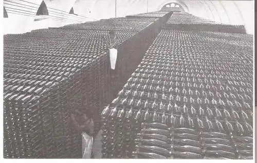 Casa Codorniu, San Sadurni de Noya, Una bodega (No.8) v. 1960  (AK53642)