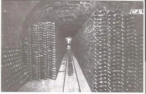Casa Codorniu, San Sadurni de Noya, Una bodega (No.9) v. 1960  (AK53643)
