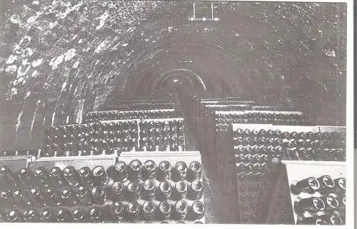 Casa Codorniu, San Sadurni de Noya, Una bodega (No.10) v. 1960  (AK53644)