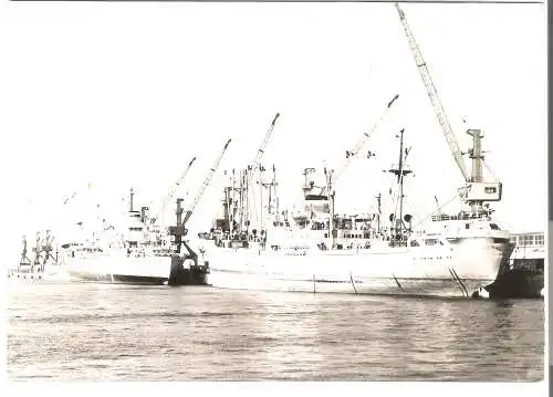 Rostock - Überseehafen v. 1973   (AK53674)