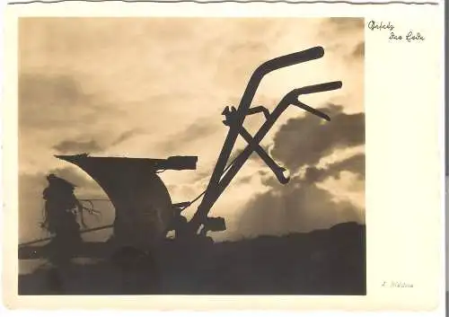 Pflug auf dem Feld - Kunstfoto - A. Bildstein v. 1937   (AK53685)