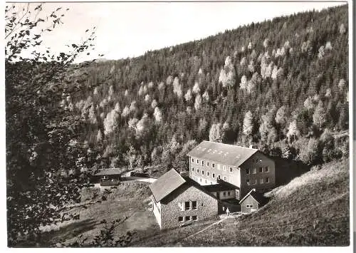 Jugendherberge - Bad Lauterberg v. 1959  (AK53689)