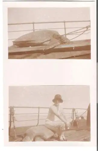 Schiffsreise SS Hoogkerk - Photokarte Privatreise nach Asien  von 1920   (AK5264)