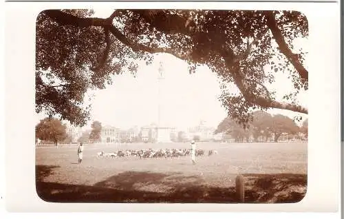 Schiffsreise SS Hoogkerk - Photokarte Privatreise nach Asien  von 1920 (AK5307)