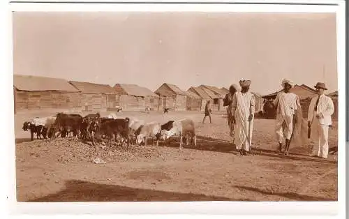 Schiffsreise SS Hoogkerk - Photokarte Privatreise nach Afrika  von 1920 (AK5319)