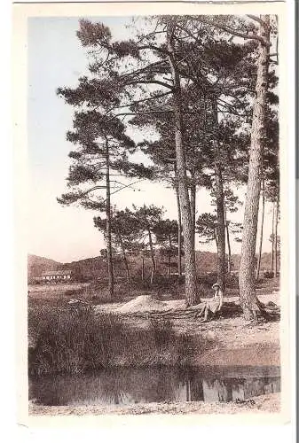 La Londe - les-MAURES - L'Agentiere dans les pins  von 1935  (AK5352)
