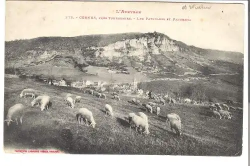 L'Aveyron - Cornus - près Tournemire - Les Paturages et Panorama von 1911    (AK5378)