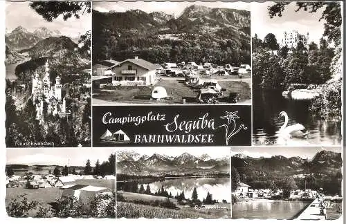 Campingplatz Seguba Bannwaldsee bei Schwangau im Allgäu - 6 Ansichten  von 1960  (AK5438)