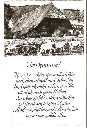 Im Schwarzwald mit Gedicht   von 1960  (AK5442)