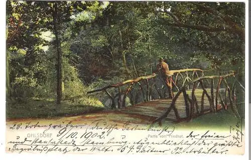 Ohlsdorf - Partie vom Friedhof von 1902 (AK5499)