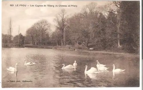 Le Faou - Les Cygnes de l'Etang du Château de Prioly von 1920   (AK5503)