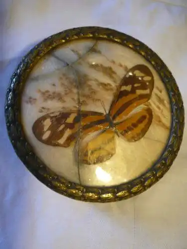 Runde Messingdose mit präpariertem Schmetterling hinter Glas (gesprungen) - älter (963) Preis reduziert