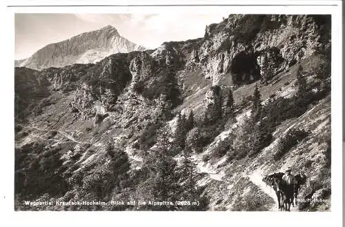 Wegpartie: Kreuzeck-Hochalm - Blick auf die Alpspitze   von 1927  (AK5943)