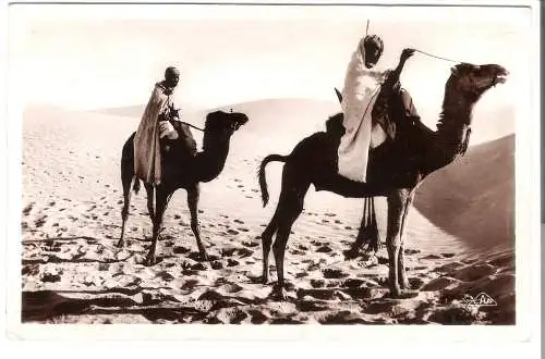 Meharistas traversant les Dunes von 1920 (AK5967)