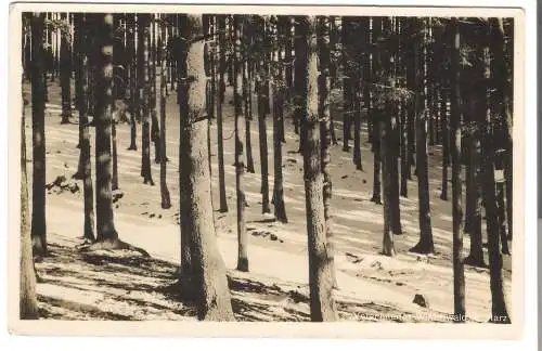 Verschneiter Winterwald im Harz - Wernigerode von 1935  (AK5990)