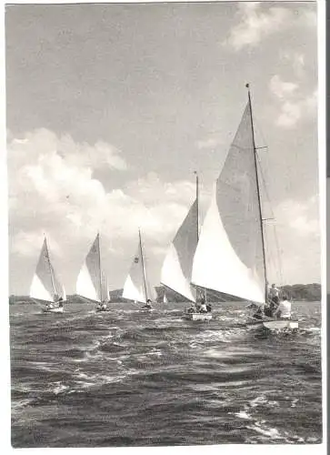 Regatta auf der Schlei bei Ulsnis von 1955 (AK6019a)