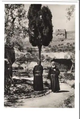 Jerusalem - Im Garten Gethsemane  von 1952 (AK6025)