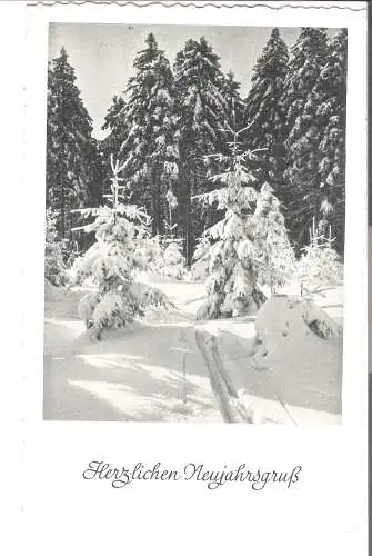 Herzlichen Neujahrsgruß - älter  (AK6027)