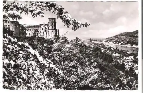 Schloss Heidelberg zur Blütezeit  - von 1957  (AK6057)