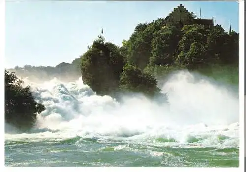 Rheinfall von Schaffhausen - Speiserestaurant Park am Reinfall  - von 1984 (AK6242)