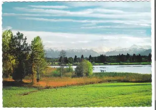 Heratingersee im Ibmer Moor - von 1974 (AK6298)