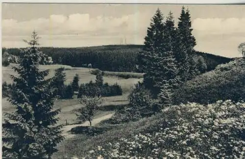 Hahnenklee-Bockswiese -  von 1952  (AK58843)