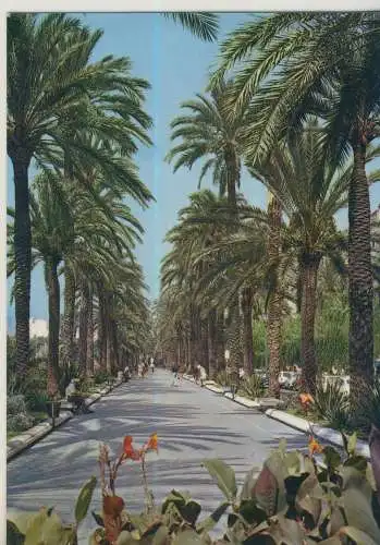 Mallorca - Paseo Sagrera-  von 1977 (AK58869)