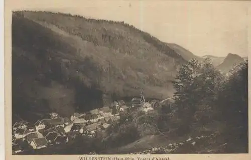 Wildenstein - Vosges d'Alsace - von 1915 (AK59073)